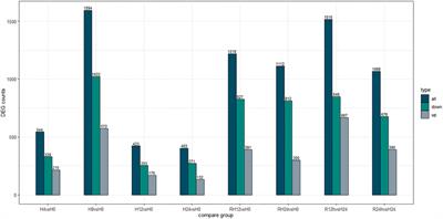 Transcriptome Analysis of Gills Provides Insights Into Translation Changes Under Hypoxic Stress and Reoxygenation in Golden Pompano, Trachinotus ovatus (Linnaeus 1758)